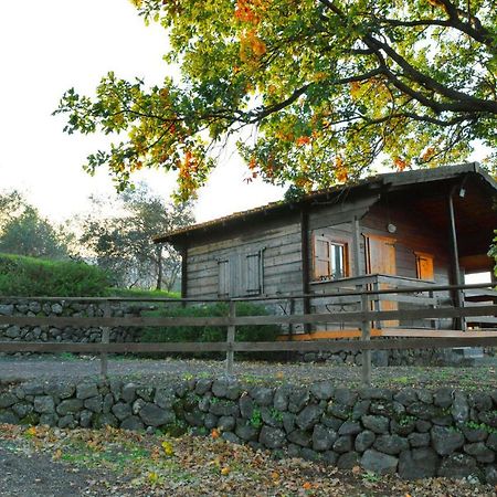 Agriturismo Kikajon Linguaglossa Exterior foto