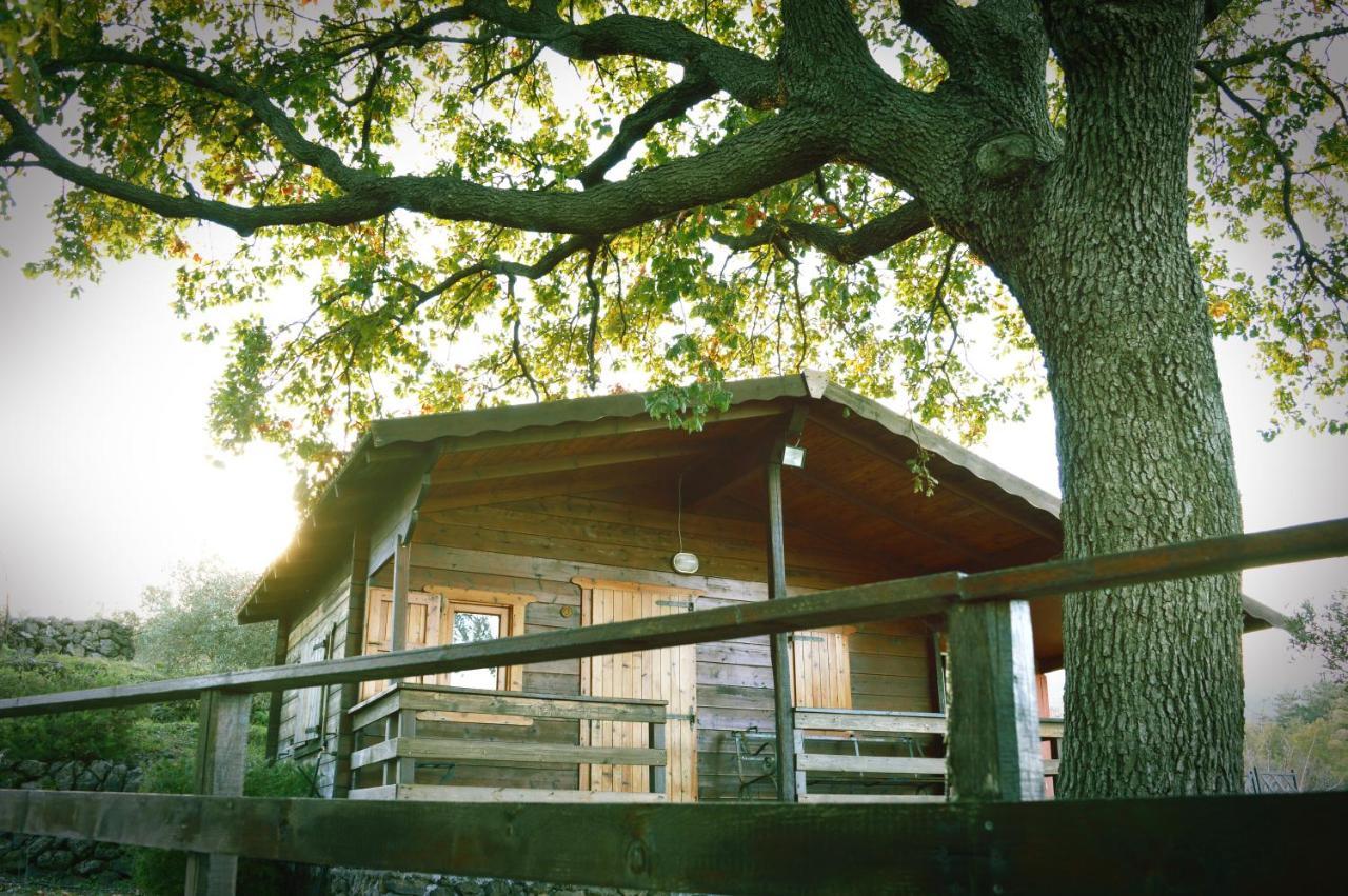 Agriturismo Kikajon Linguaglossa Exterior foto